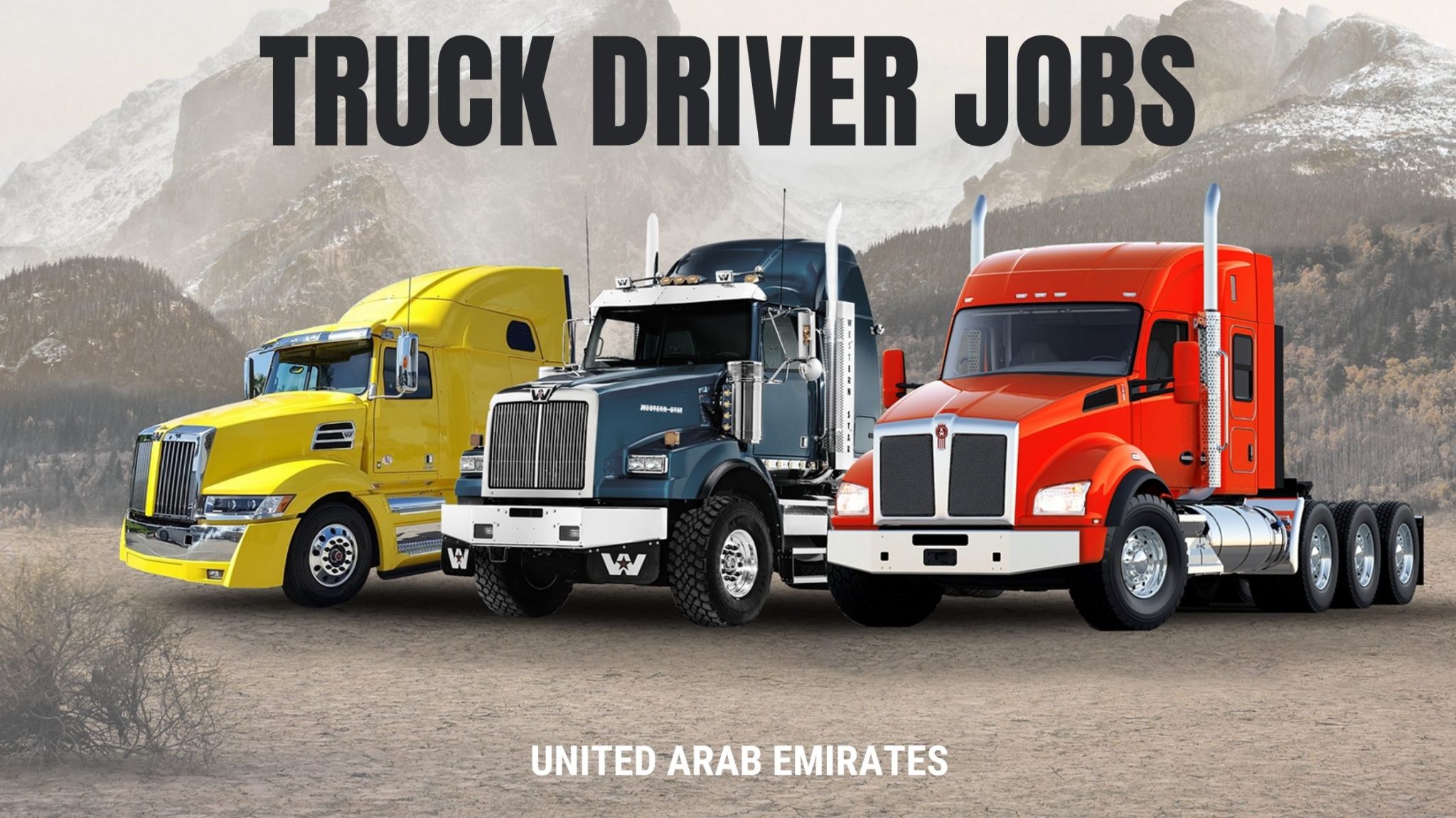 for windows download Truck Driver Job