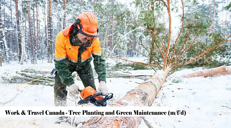 Work & Travel Canada - Tree Planting and Green Maintenance (m/f/d)
