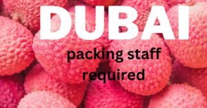 Packing Staff Required in Dubai