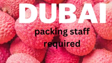 Packing Staff Required in Dubai