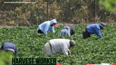 Harvest Worker Jobs in Canada