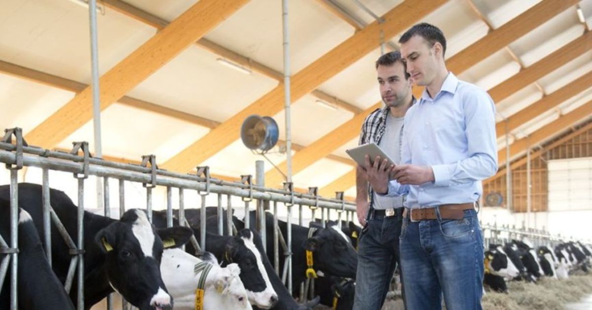 Dairy farm Foreman Jobs in Canada