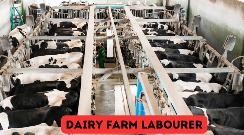 Dairy farm labourer Jobs in Canada