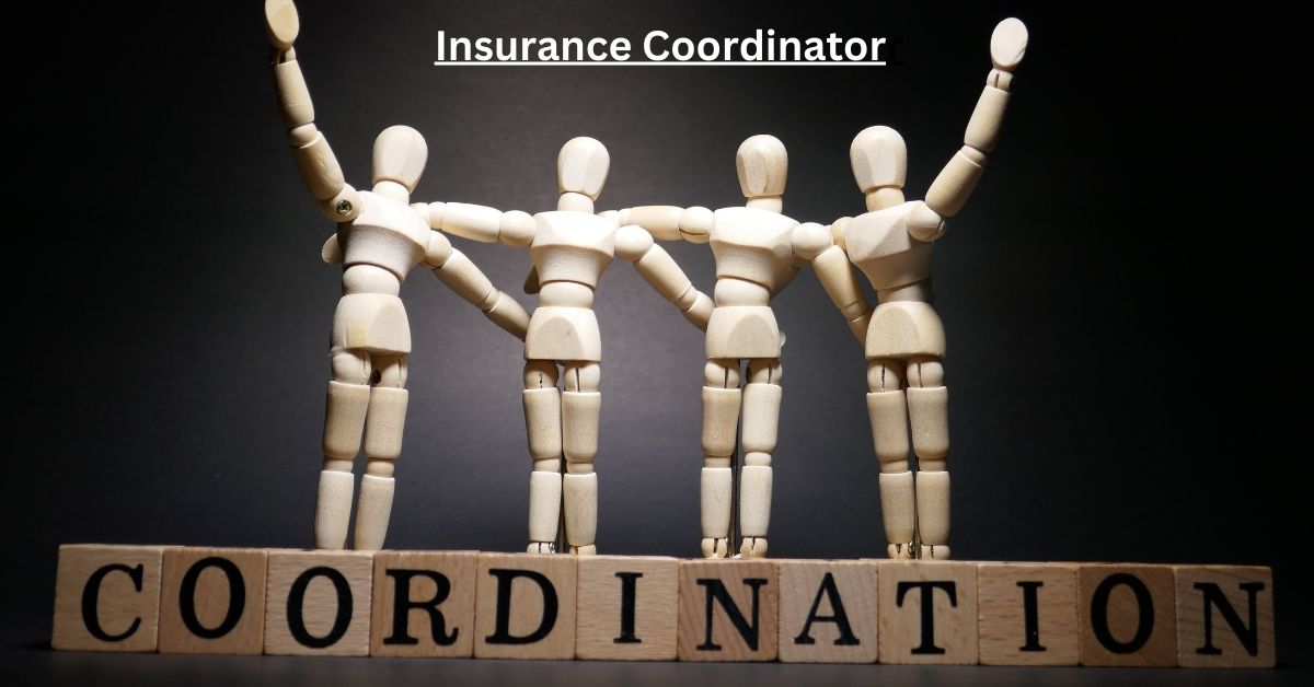 Insurance Coordinator Jobs in Dubai