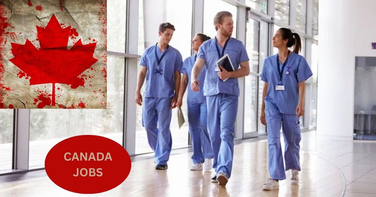 Medical Orderly Jobs in Canada