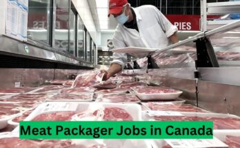 Meat Packager Jobs in Canada