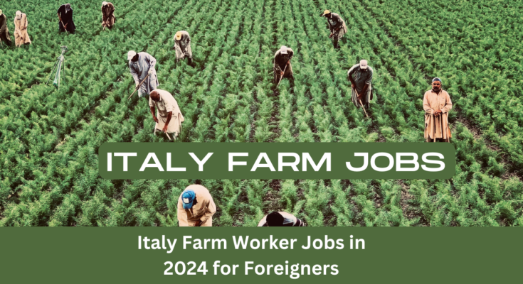 Italy Farm Worker Jobs in 2024 for Foreigners