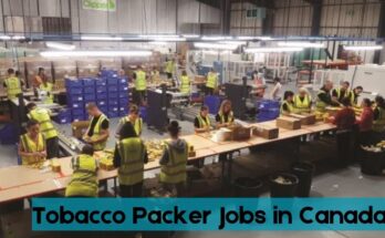 Tobacco Packer Jobs in Canada