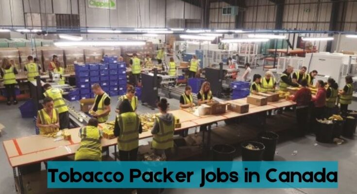 Tobacco Packer Jobs in Canada