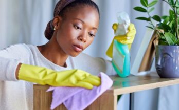 Domestic Housekeeper Jobs in Canada