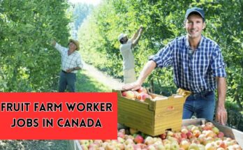 Fruit Farm Worker Jobs in Canada