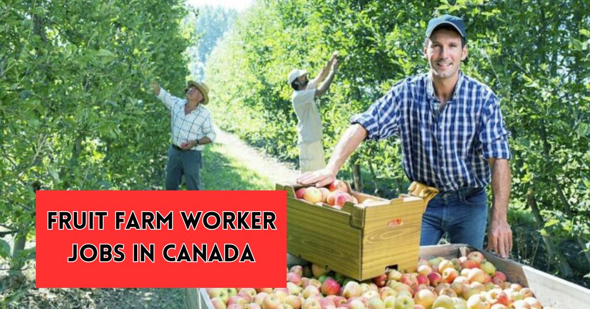 Fruit Farm Worker Jobs in Canada