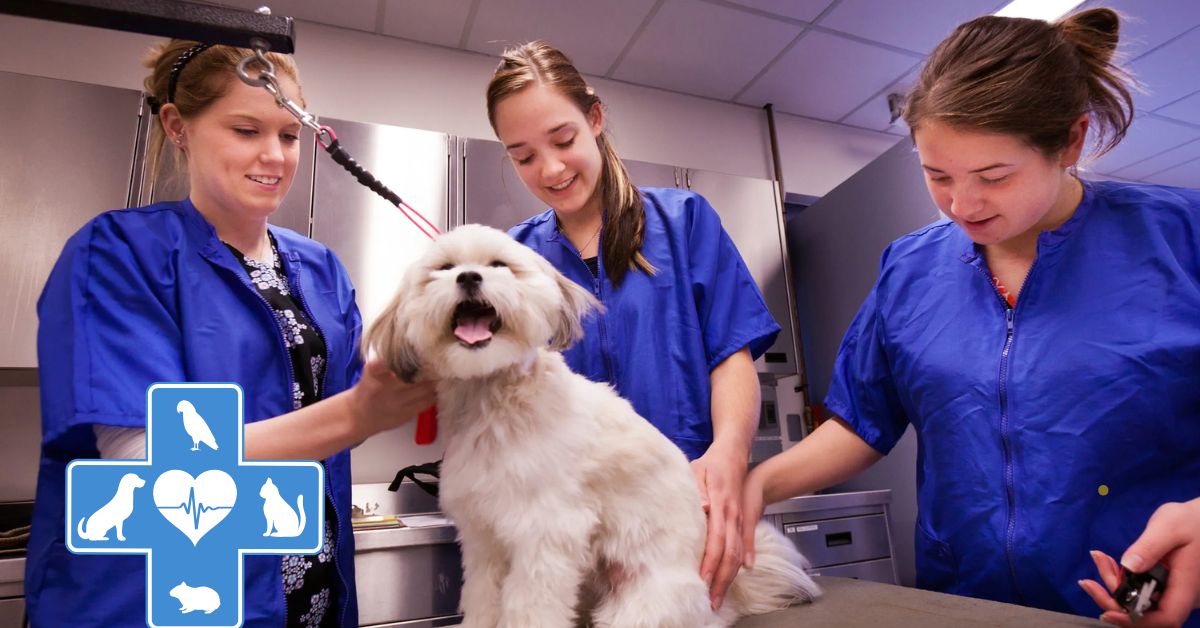 Veterinary Technician Jobs in Canada